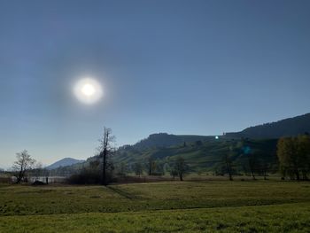 Scenic view of field against clear sky