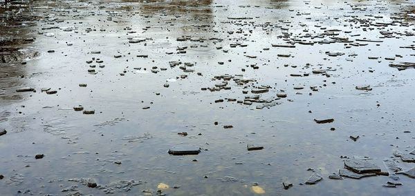 Full frame shot of wet land