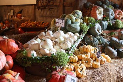 Pumpkins for sale at market stall