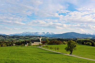 Scenic view of field against sky