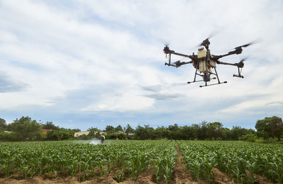 Scenic view of the agricultural field against sky