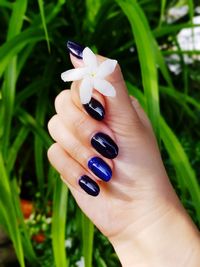 Close-up of woman hand holding flower