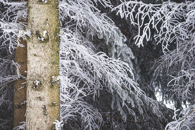 Full frame shot of frozen water