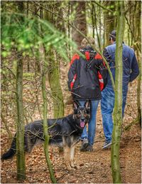 German shepherd dog standing by people in forest