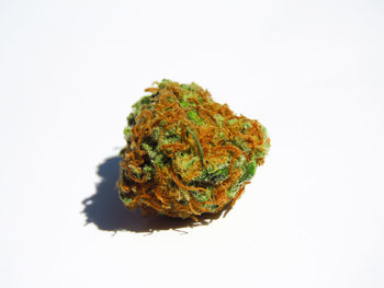 Close-up of food against white background