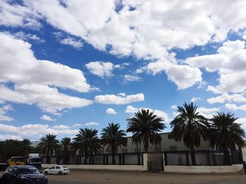 Palm trees by road against cloudy sky