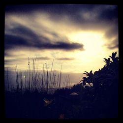 Scenic view of landscape against cloudy sky