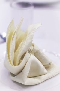 Close-up of bread in plate
