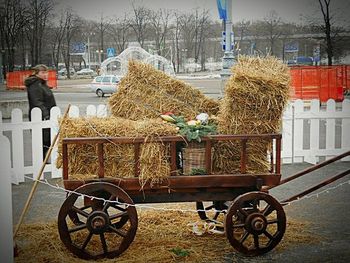 transportation
