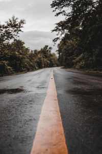 Surface level of empty road along trees