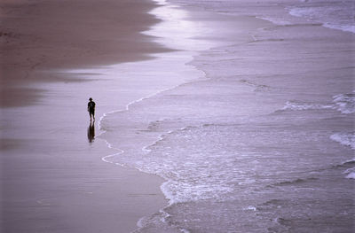 High angle view of man walking at beach