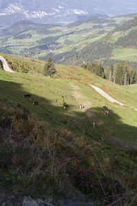 Scenic view of landscape