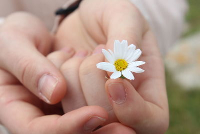 Close-up of woman holding flower