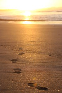 Scenic view of beach against sky during sunset