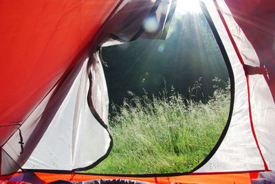 Close-up of tent on glass window