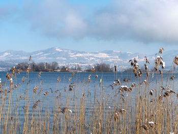 Scenic view of frozen lake against sky