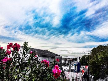 Flower trees against sky