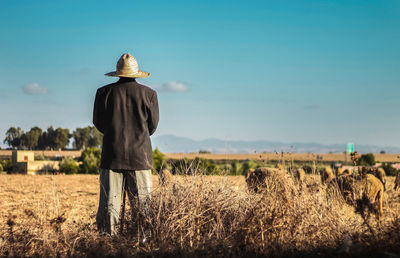 Rear view of man standing on field against blue sky