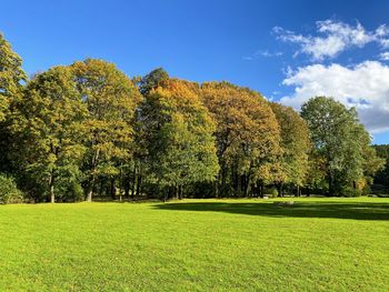 Trees on field against sky during autumn