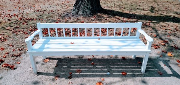 High angle view of empty bench in park