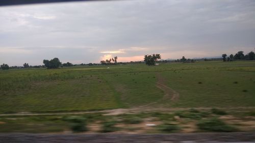 Scenic view of field against sky during sunset