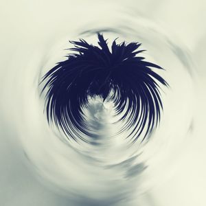 High angle view of palm tree against sky