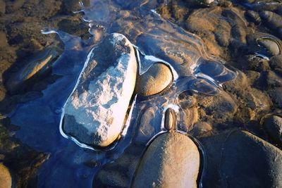 High angle view of rocks on beach