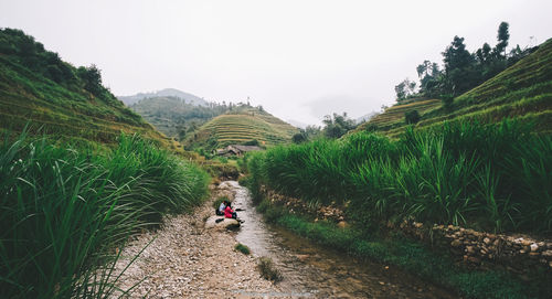 People sitting by stream amidst plants against sky