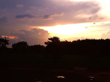 Silhouette trees against sky during sunset