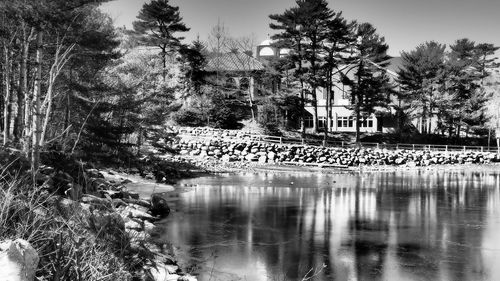 Reflection of trees and buildings in lake