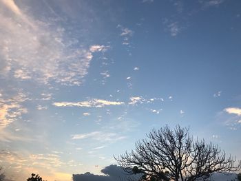 Low angle view of silhouette trees against blue sky