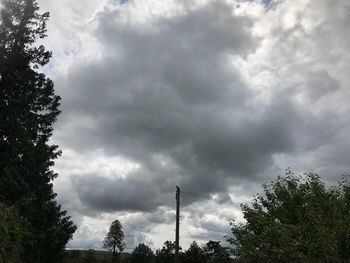 Low angle view of trees against cloudy sky