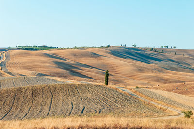Wavy hills in tuscan farmland
