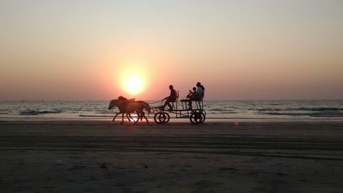 People sitting on horse cart at tarkarli beach against clear sky during sunset