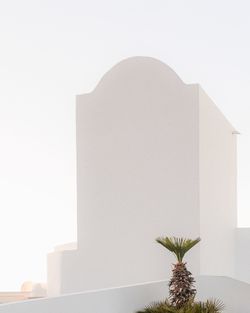 Low angle view of cycladic building and a palm tree against clear sky