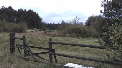 Wooden fence on grassy field against sky