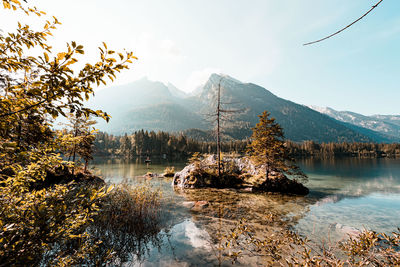 Scenic view of lake by trees against sky