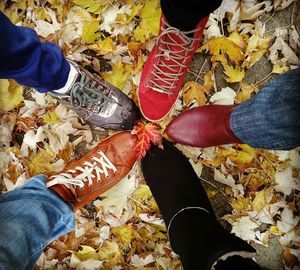 Low section of man standing on autumn leaves