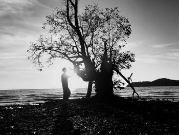 Silhouette mid adult man standing by tree at beach against sky during sunset