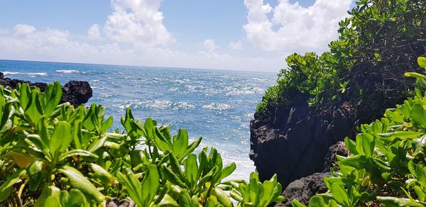Scenic view of sea against sky