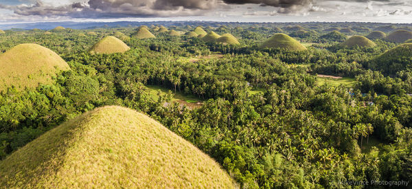 High angle view of fresh green field against sky