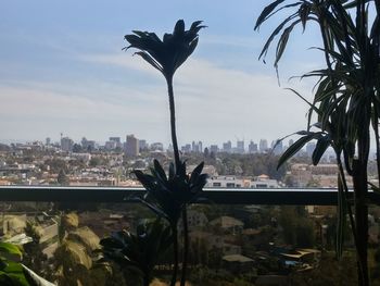 View of cityscape against the sky