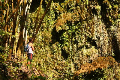 Boy standing amidst trees