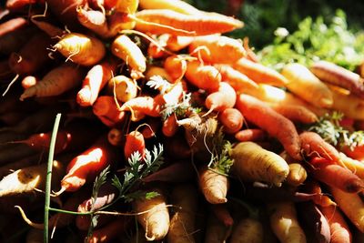 High angle view of vegetables