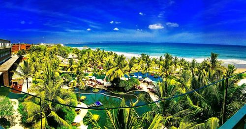 High angle view of trees by sea against blue sky