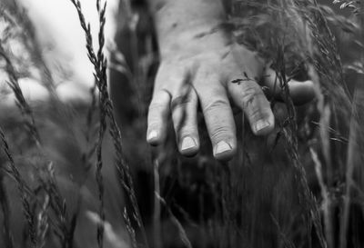 Close-up of hands and plants on field