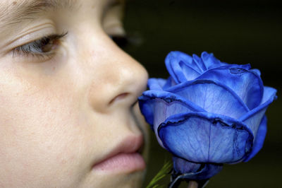 Close-up of purple rose flower