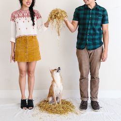 Low section of man and woman throwing decoration on dog whiles standing against white background