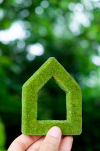 Close-up of hand holding green leaf