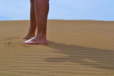 Low section of person on sand at beach